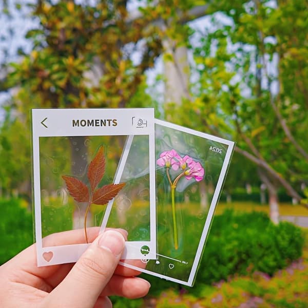 20 st DIY transparenta bokmärken i plastram för pressade blommor 50PCS