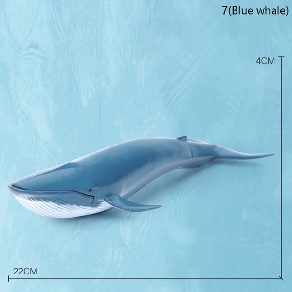 Simulering Marine Sea Life Figurer Action Figurer Ocean Anima 7(Blue whale)