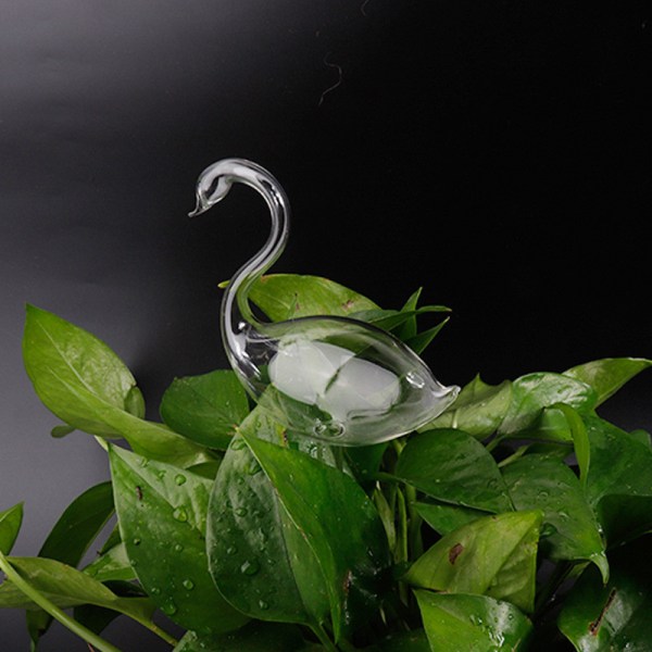 11 typer glasblomster vandføder Automatisk selvvanding De 2