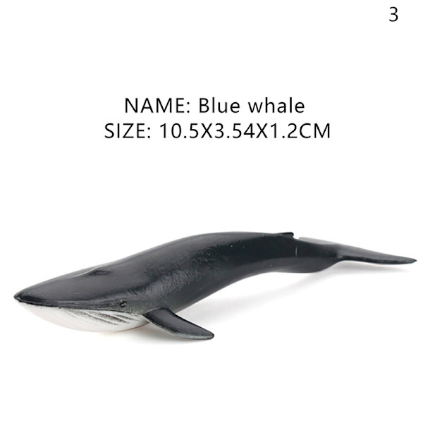 Simulering Marint liv Actionfigurer Ocean Animal Model Educat A3