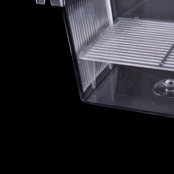 Fish Breeding Isolation Aquarium Hatchery Oppdretter Young Fish In