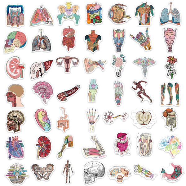 50 st tecknade mänskliga organ och anatomi DIY Graffiti Vattentät St