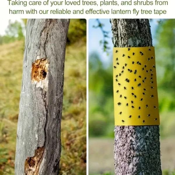 5/10M Gul Dubbelsidig Insektssäker Tejp Utomhus Insektsfälla A