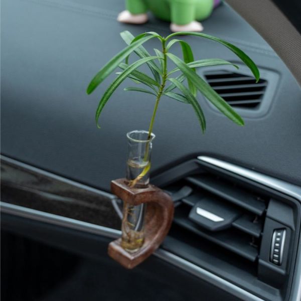 Bil Blomstervase Klips Til Luftventil Mini Reagensglas Bil Blomst B