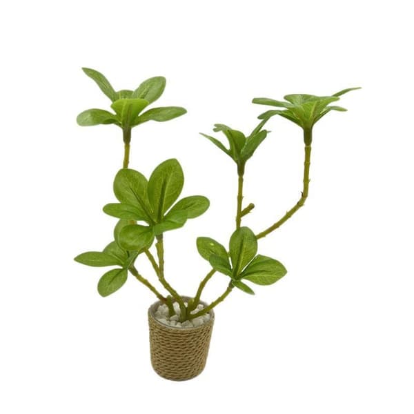 1 stk. 1/6 skala dukkehus grøn pottebonsai mini fehave A1