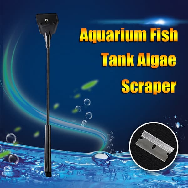 Rustfritt stål Aquarium FishTank Algeskrapeblad Vann C