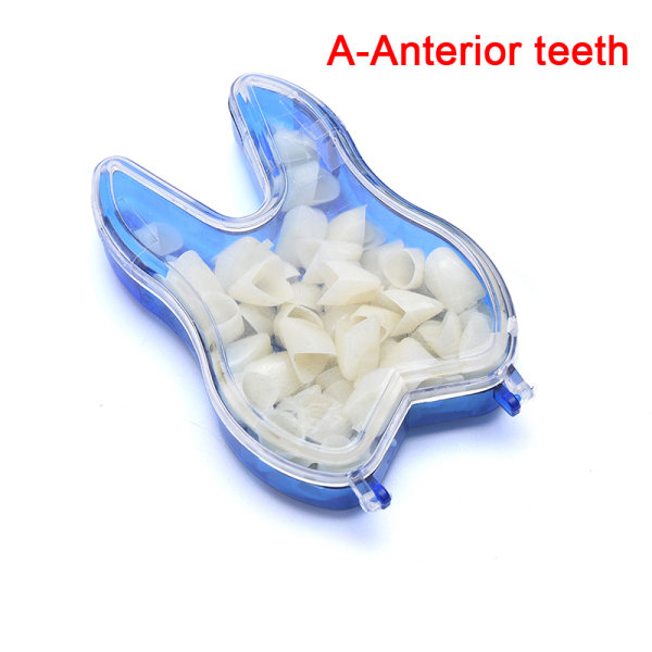 tillfälliga harts tandkronor simulering porslin tänder oral t A-Anterior teeth