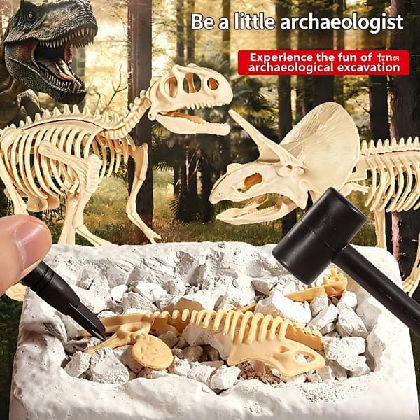 Fossilgrävsats – Gräv ut och montera skelett | 3D-dinobens D