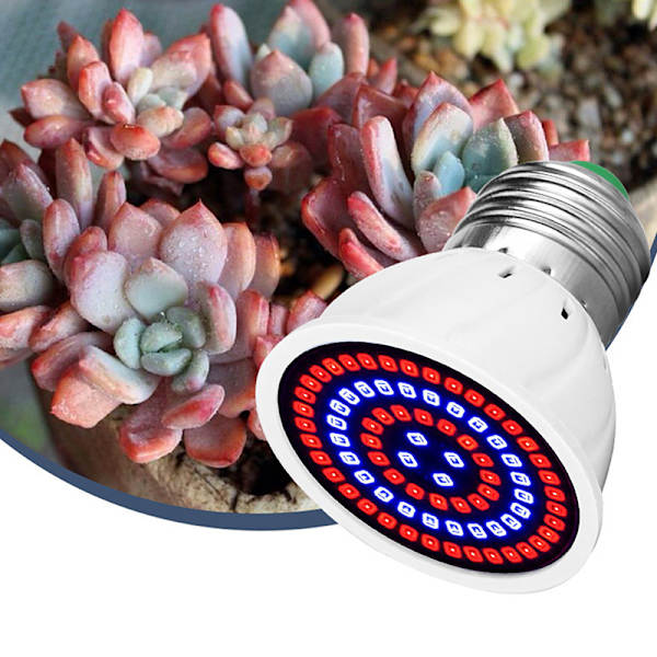 LED Vekstpære E27 220V Fullspektrum 48/60/80LED Lampe C