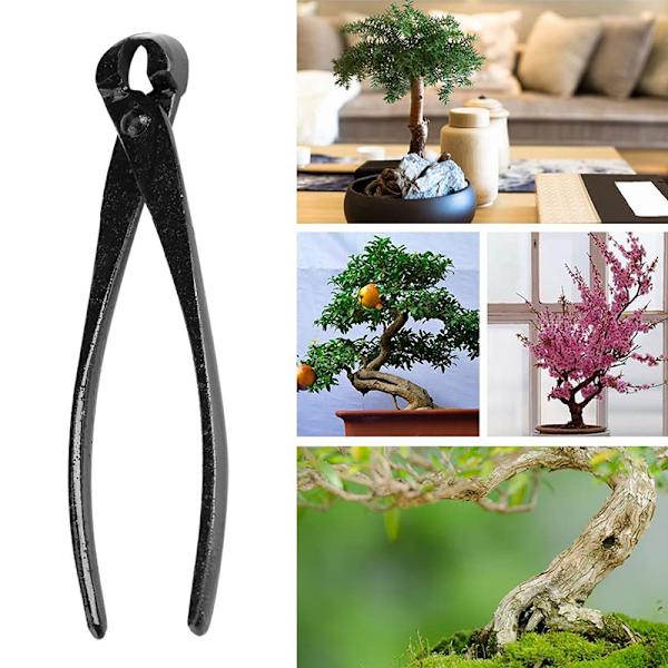 Bonsai Knob ter Konkav Edge ter Root ting Tång Ball Shear Sc