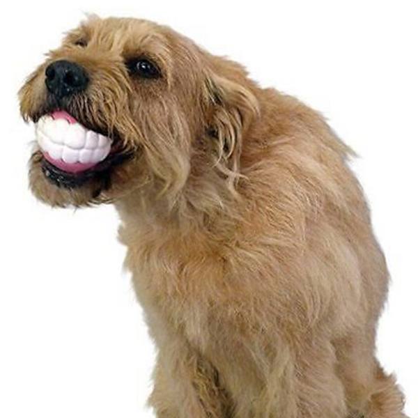 Funny Pet Dog Ball Silicon Toy Chew Sound Dogs Play Toys Ultra