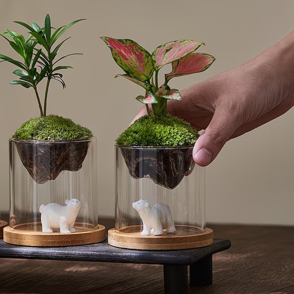 Glas Terrarium Til Bjergudsigt Mos er Hydroponisk Beholder A2