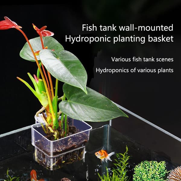 2/5/10 st vattenkopp hydroponisk odlingskopp akvarietillbehör 10Pcs