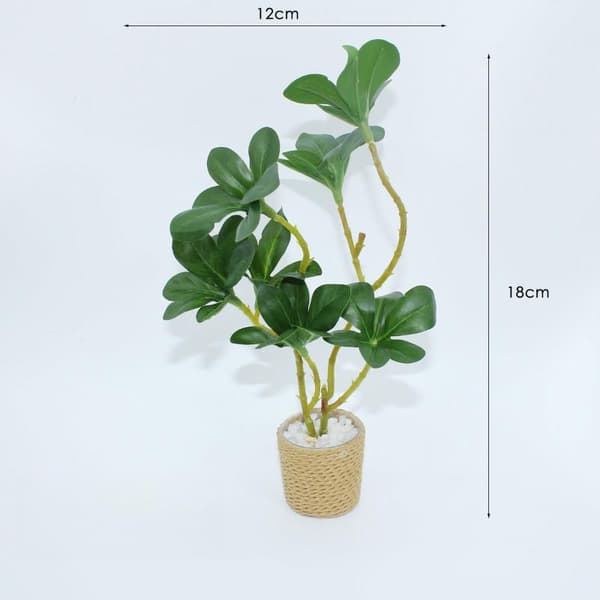 1 stk. 1/6 skala dukkehus grøn pottebonsai mini fehave A2