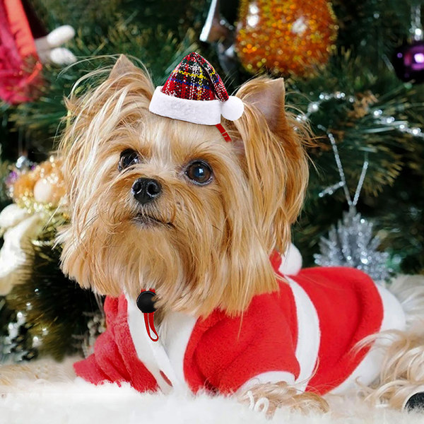 Christmas Pet Dog Hats Fashion Christmas Hat Hund Party Dekorera Green