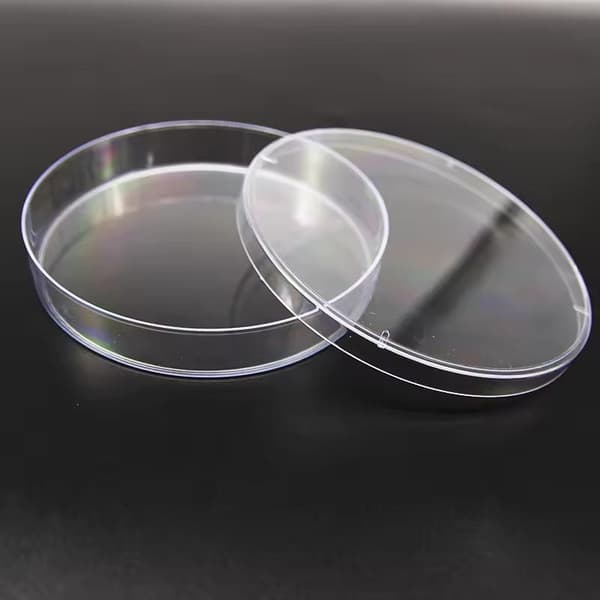 10 st plastpetriskålar 35 60 75 90 mm runda transparenta celler 90mm 2 Grids 10pcs