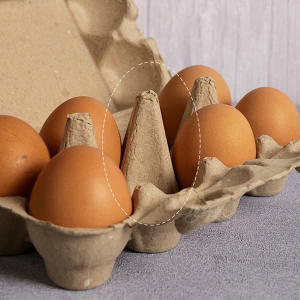 10 stk. innfødt eggemballasjeboks Eggbrett Masse eggbeholdere Soi