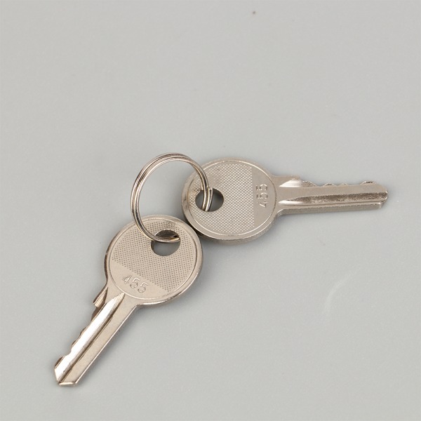 2PC 455 Key Pyöreä pää Kolmenopeuksinen valintanäppäin hissille An
