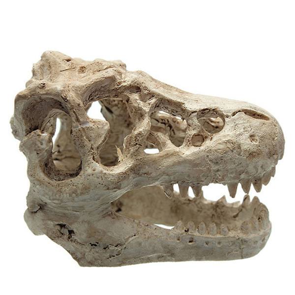 Resin Crocodile Skull Terrarium Reptile Fish Tank Ornament Aqua