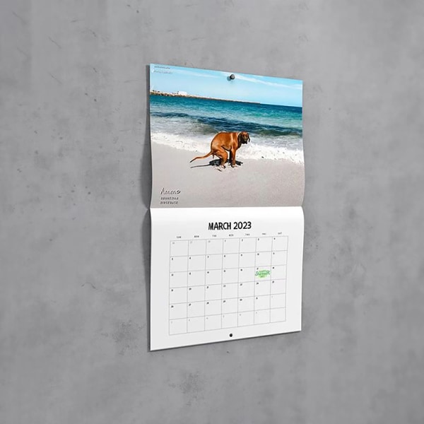 Funny Dog Pooping Wall Calendar 2024 Unik kalendergave til F