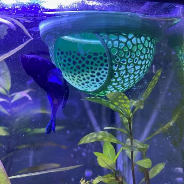 Akvarium flytende hengekøyer gir et hvilested for fisk og S2
