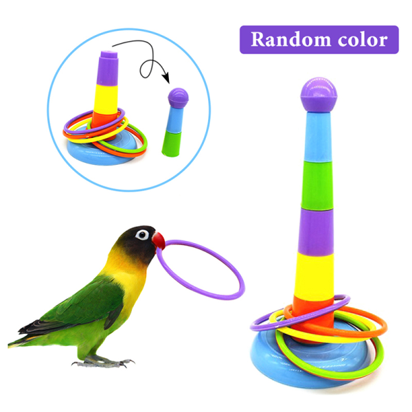 Fågel Aktivitetsträning Ferrule Toy for Parrot ligence Developme