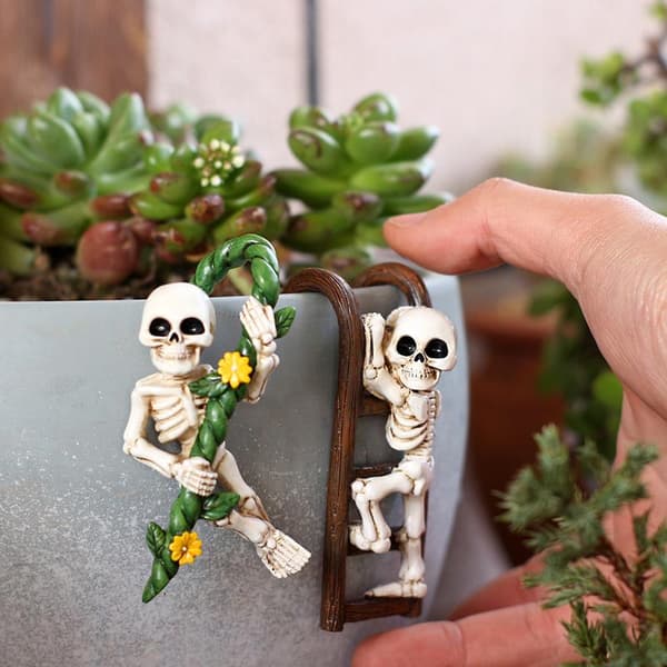 2-delt sæt skeletpotteknusere til planter