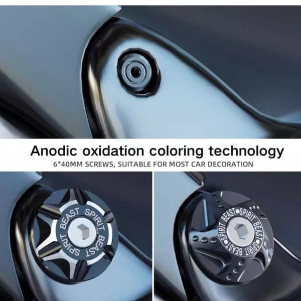 6MM Legeringspladebolte til motorcykler og biler - Nummerplade Skruer blue