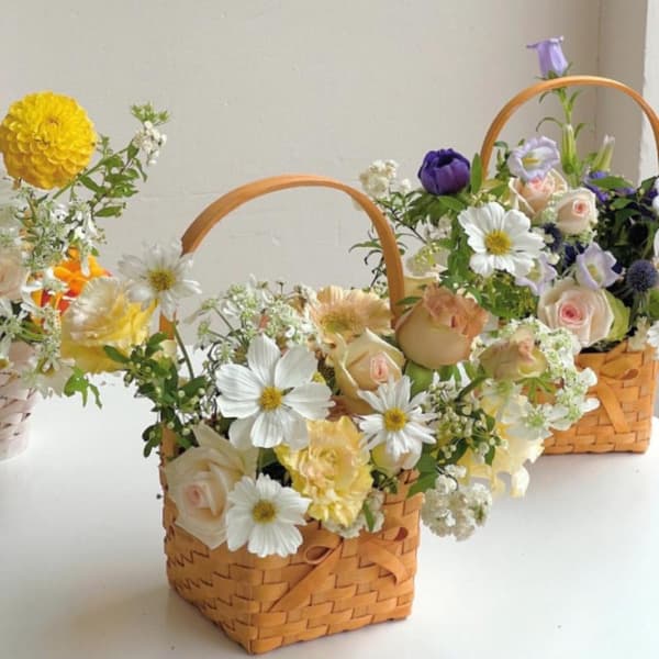 Vide Pil Brud Blomsterkorg Picknickbehållare Handvävd F A1