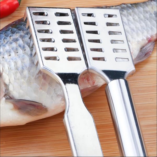 Fiskfjällare B