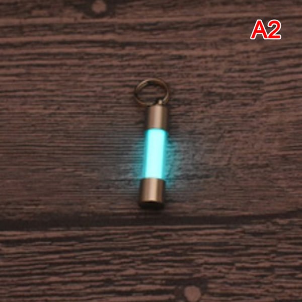 Titanium Stainless Steel Embrite™ Glow in the dark nyckelring FOB A2