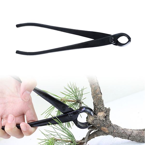 Bonsai Knob ter Konkav Edge ter Root ting Tång Ball Shear Sc