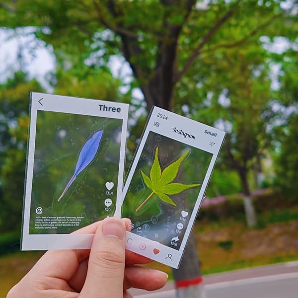 20 st DIY transparenta bokmärken i plastram för pressade blommor 50PCS