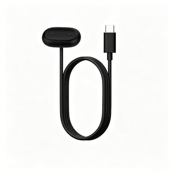 1 stk Fitbit Air Magnetisk Opladerkabel USB-A & Type-C Oplader A3