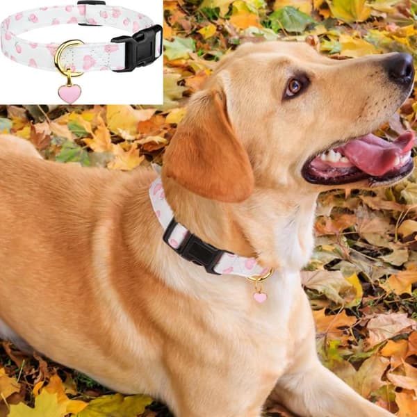 Hundehalsbånd i solid bomuld med hjerte- og jordbærvedhængsdesign Rose red