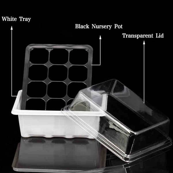 3st/ set 12-cells startpaket Startförökningsbricka Dome G Black