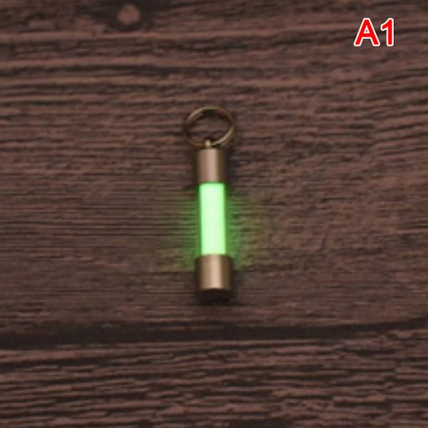 Titanium Stainless Steel Embrite™ Glow in the dark nøkkelring FOB A1