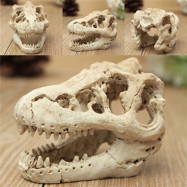 Resin Crocodile Skull Terrarium Reptile Fish Tank Ornament Aqua