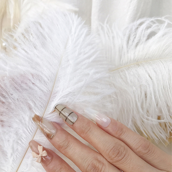 Nail Art -höyhennäyttöteline höyhenkoristehelmikoriste P 02