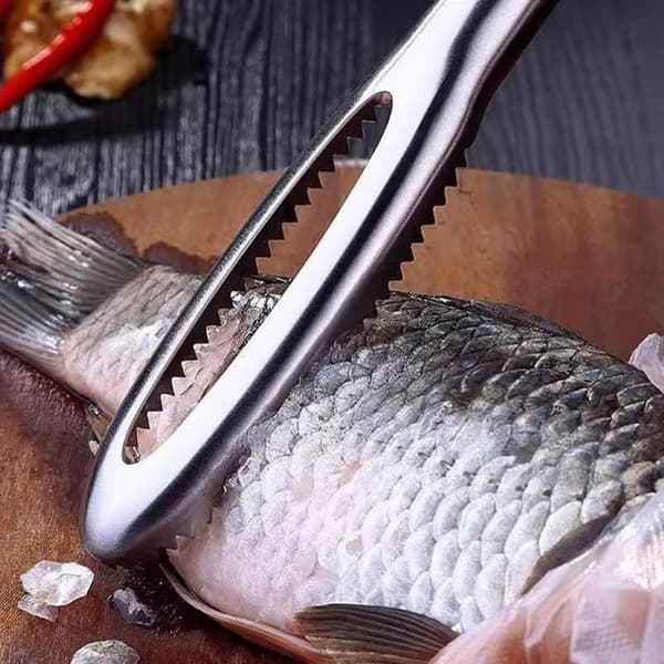 Rustfri fiskeskælsskraber, hurtig renser, fjerner skind