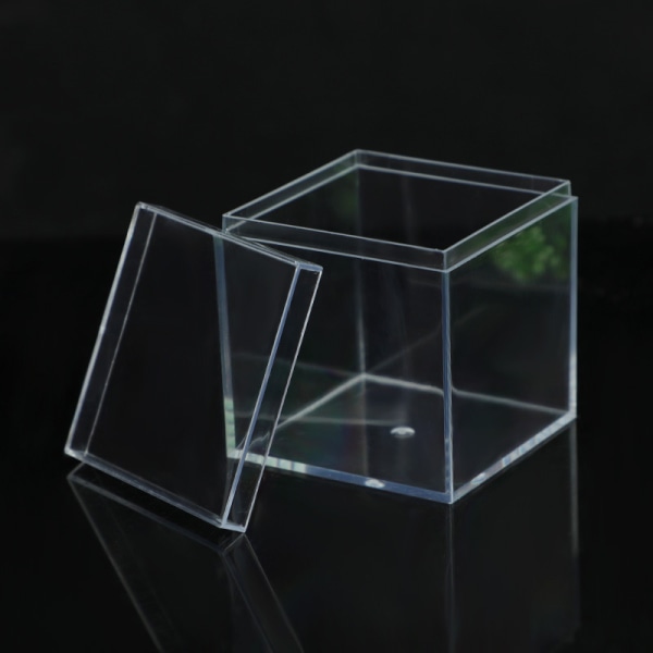 Muovinen läpinäkyvä säilytyslaatikko Koruhelmet Kalastustarvikkeet L