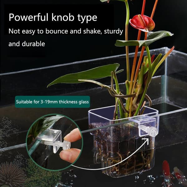 2/5/10 stk. vannkopp hydroponisk plantekopp akvarietilbehør 2Pcs