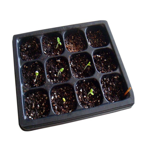 3st/ set 12-cells startpaket Startförökningsbricka Dome G Black