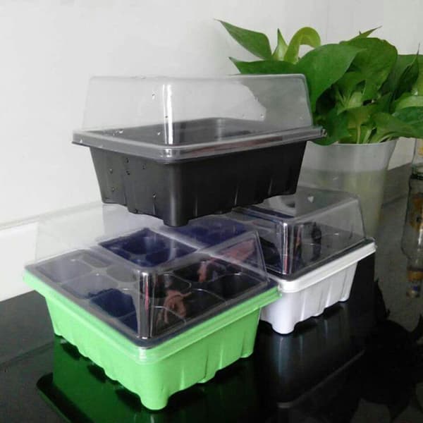 3st/ set 12-cells startpaket Startförökningsbricka Dome G Black