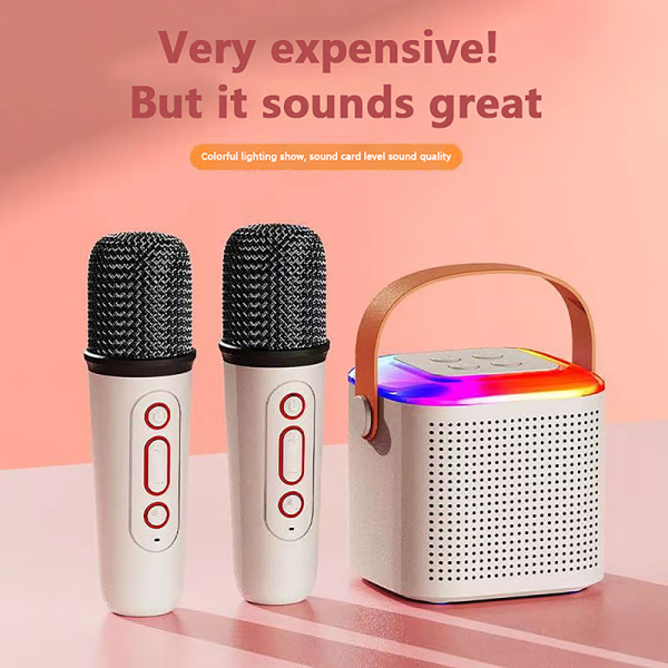 Mikrofoni Karaoke Hine Kannettava Bluetooth 5.3 PA-kaiutinjärjestelmä Pink 2 microphone