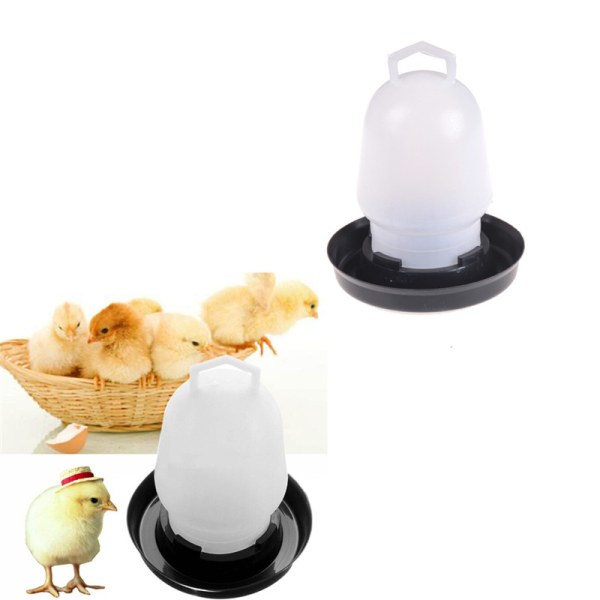 Automatisk kjæledyrmater Kyllingvaktel Fjærkre Fugl Fasanfôr W