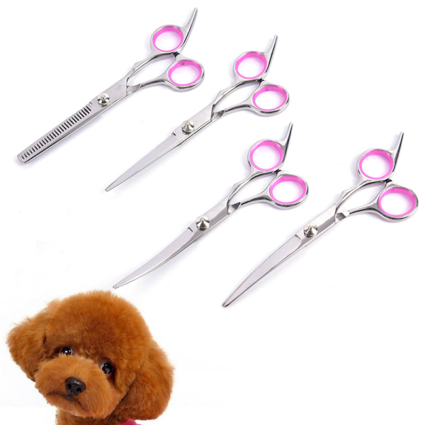 6'' Träningsset för set