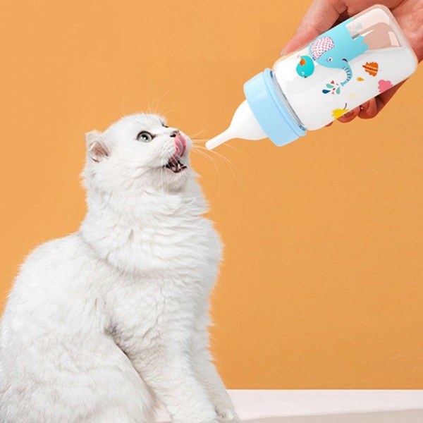 Valp Kattunge Nappflaska Matare Set Katt Hund Bady Nursing Wat A3
