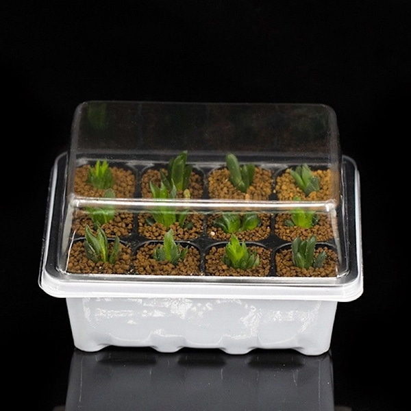 3 kpl / set 12 Cell Starter Kit Aloituslisäysalusta Dome G Black