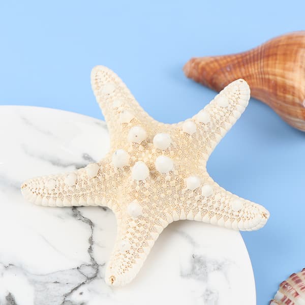 Starfish Crafts Decor Starfish DIY Shell Sea Fish Party Beige S